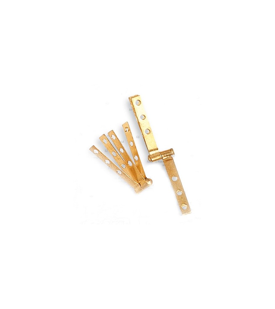 Hinge for Rudder in Brass 3x20 mm (2 Units)