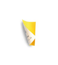 Set of 4 Thick Sandpapers (80, 120, 180, 240) for Modeling